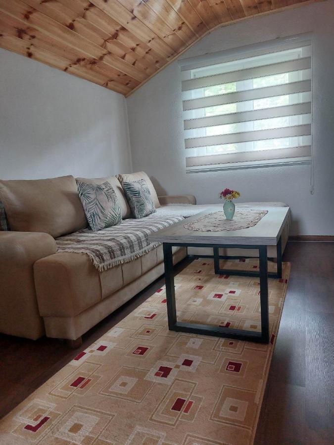 Apartman Branko Kolašin Zewnętrze zdjęcie
